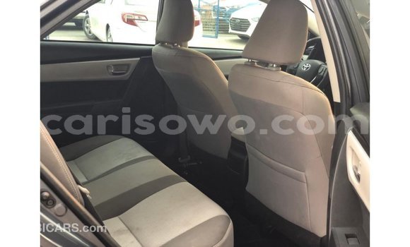 Buy Import Toyota Corolla Other Car in Import - Dubai in Benign Buy Import Toyota Corolla Other Car in Import - Dubai in Benign