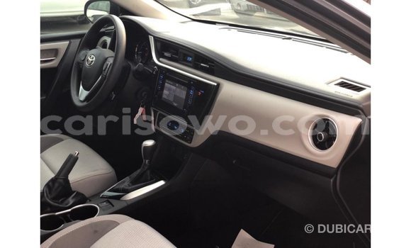 Buy Import Toyota Corolla Other Car in Import - Dubai in Benign Buy Import Toyota Corolla Other Car in Import - Dubai in Benign