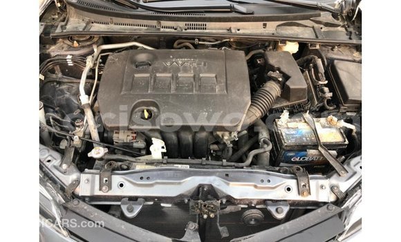 Buy Import Toyota Corolla Other Car in Import - Dubai in Benign Buy Import Toyota Corolla Other Car in Import - Dubai in Benign