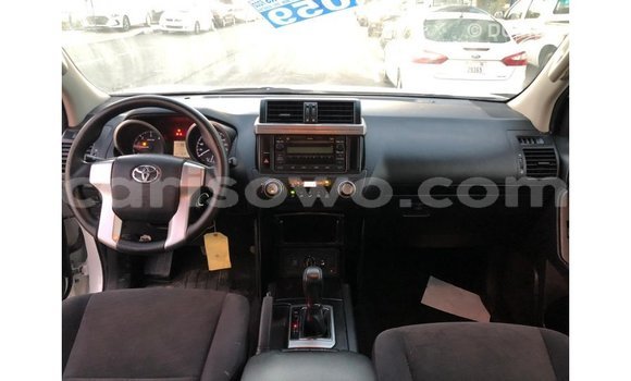 Buy Import Toyota Prado White Car in Import - Dubai in Benign Buy Import Toyota Prado White Car in Import - Dubai in Benign