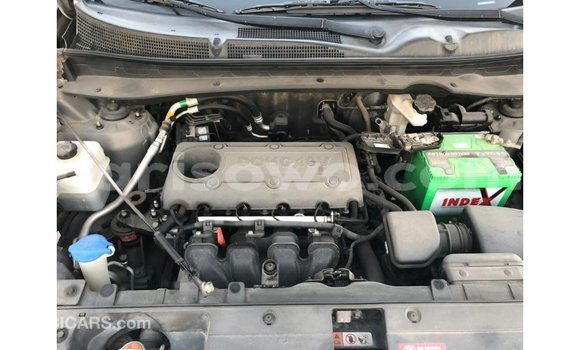 Buy Import Kia Sportage Other Car in Import - Dubai in Benign Buy Import Kia Sportage Other Car in Import - Dubai in Benign