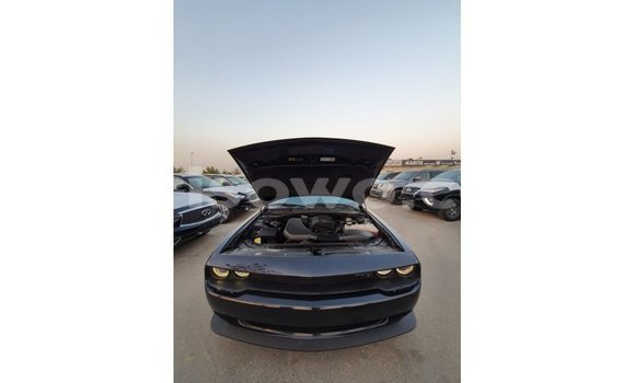 Buy Import Dodge Challenger Black Car in Import - Dubai in Benign Buy Import Dodge Challenger Black Car in Import - Dubai in Benign