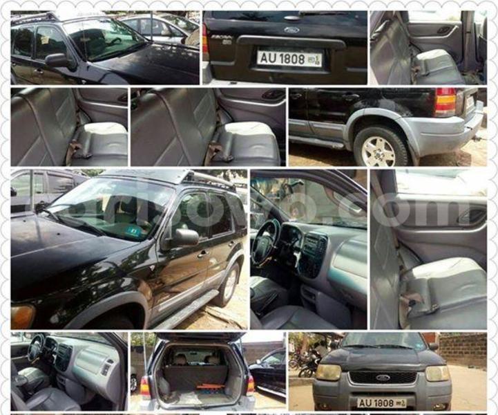 Big with watermark 17342716 136784040180539 8536093246308183350 n