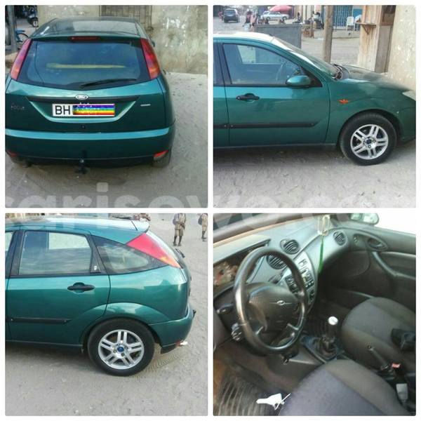 Big with watermark 17342716 136784040180539 8536093246308183350 n