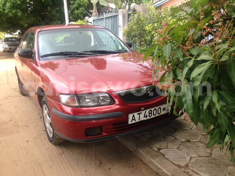 Big with watermark 17796439 1315154081906354 3590367499681648485 n