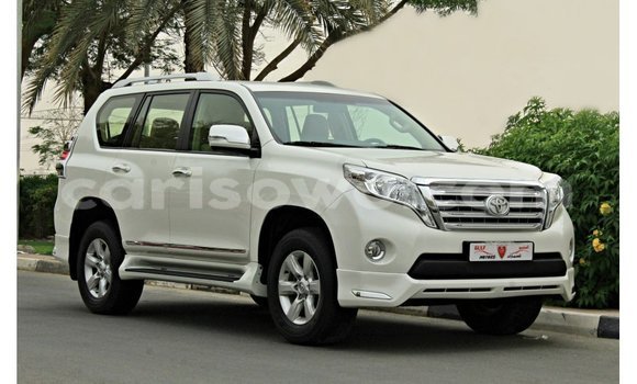 Buy Import Toyota Prado White Car in Import - Dubai in Benign