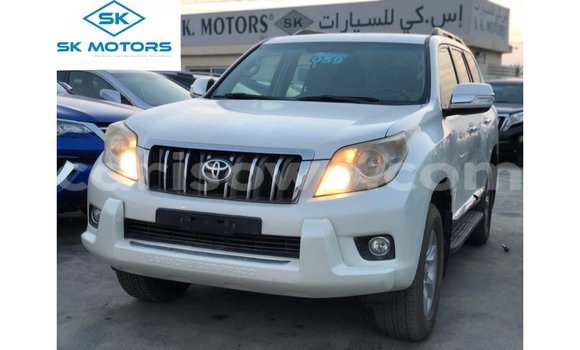 Buy Import Toyota Prado White Car in Import - Dubai in Benign