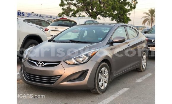 Buy Import Hyundai Elantra Brown Car in Import - Dubai in Benign Buy Import Hyundai Elantra Brown Car in Import - Dubai in Benign