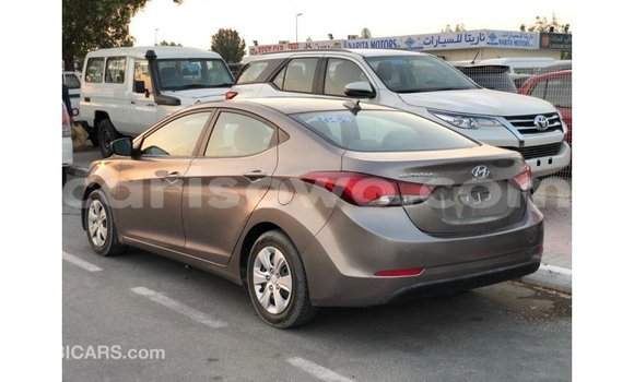 Buy Import Hyundai Elantra Brown Car in Import - Dubai in Benign Buy Import Hyundai Elantra Brown Car in Import - Dubai in Benign