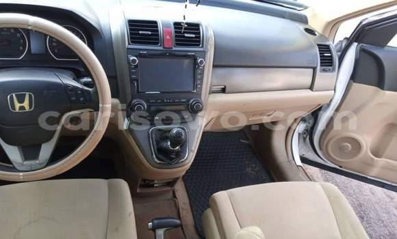 Sayi Na hannu Honda CR–V White Mota in Cotonou a Benin Sayi Na hannu Honda CR–V White Mota in Cotonou a Benin