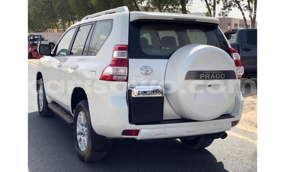 Buy Import Toyota Prado White Car in Import - Dubai in Benign Buy Import Toyota Prado White Car in Import - Dubai in Benign