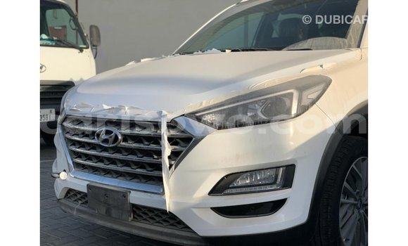 Buy Import Hyundai Tucson White Car in Import - Dubai in Benign Buy Import Hyundai Tucson White Car in Import - Dubai in Benign