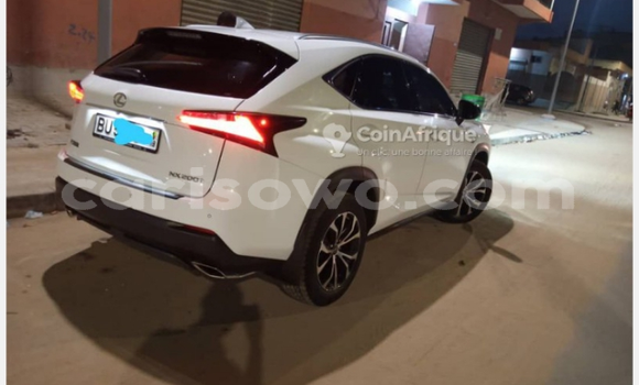 Sayi Na hannu Lexus NX White Mota in Cotonou a Benin Sayi Na hannu Lexus NX White Mota in Cotonou a Benin