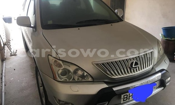 Acheter Occasion Voiture Lexus RX 330 Gris à Cotonou, Benin