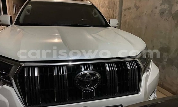 Buy Used Toyota Land Cruiser Prado White Car in Cotonou in Benign