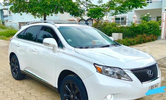 Buy New Lexus RX 350 White Car in Cotonou in Benign Buy New Lexus RX 350 White Car in Cotonou in Benign