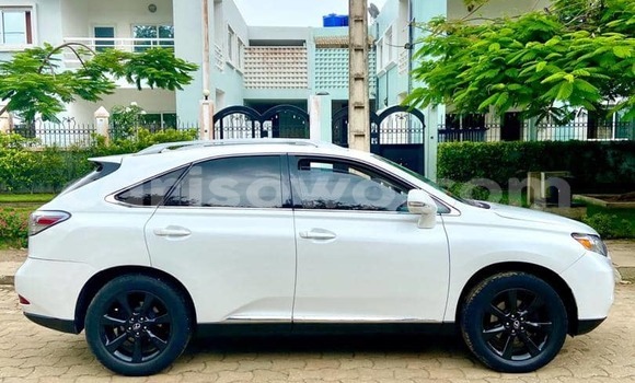 Buy New Lexus RX 350 White Car in Cotonou in Benign Buy New Lexus RX 350 White Car in Cotonou in Benign
