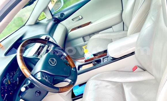 Buy New Lexus RX 350 White Car in Cotonou in Benign Buy New Lexus RX 350 White Car in Cotonou in Benign