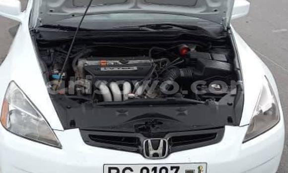 Sayi Na hannu Honda Accord White Mota in Abomey a Benin Sayi Na hannu Honda Accord White Mota in Abomey a Benin