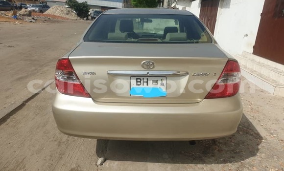 Sayi Na hannu Toyota Camry Brown Mota in Cotonou a Benin