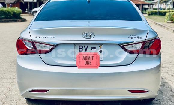 Buy New Hyundai Sonata Silver Car in Cotonou in Benign Buy New Hyundai Sonata Silver Car in Cotonou in Benign