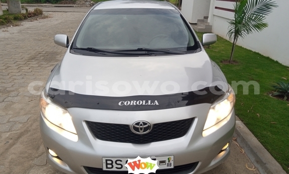 Buy New Toyota Corolla Silver Car in Cotonou in Benign