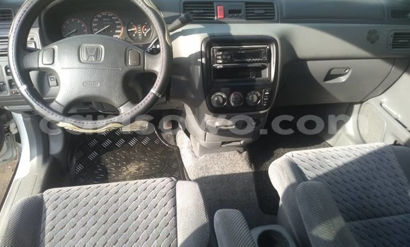 Buy New Honda CR–V White Car in Cotonou in Benign Buy New Honda CR–V White Car in Cotonou in Benign