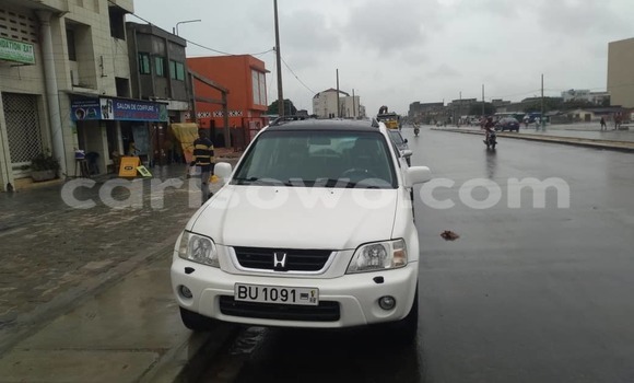 Buy New Honda CR–V White Car in Cotonou in Benign Buy New Honda CR–V White Car in Cotonou in Benign