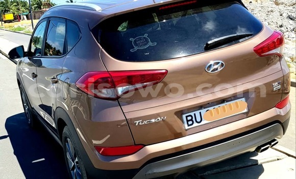 Buy New Hyundai Tucson Brown Car in Cotonou in Benign Buy New Hyundai Tucson Brown Car in Cotonou in Benign