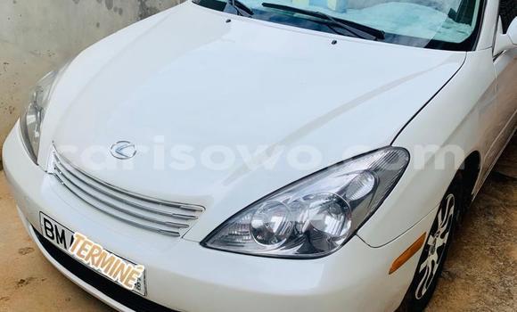 Acheter Occasion Voiture Lexus ES 300 Blanc à Cotonou, Benin