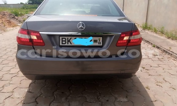 Buy New Mercedes-Benz E–Class Other Car in Cotonou in Benign Buy New Mercedes-Benz E–Class Other Car in Cotonou in Benign