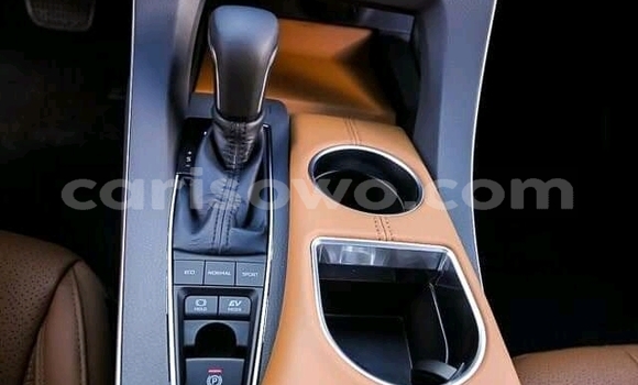 Sayi Imported Toyota Avalon Azurfa Mota in Porto Novo a Benin