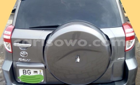 Acheter Occasion Voiture Toyota RAV4 Marron à Cotonou, Benin