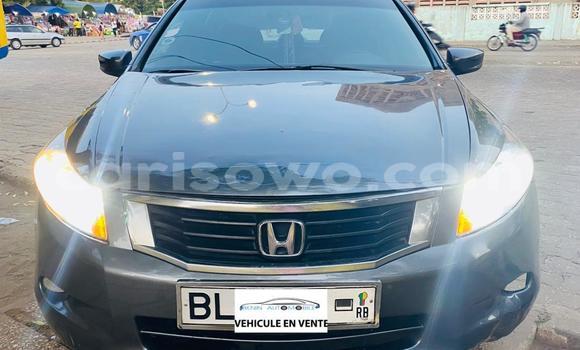 Acheter Occasion Voiture Honda Accord Marron à Cotonou, Benin