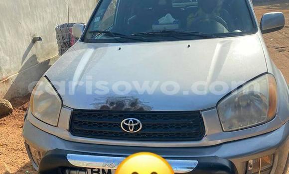 Acheter Occasion Voiture Toyota RAV4 Gris à Abomey, Benin Acheter Occasion Voiture Toyota RAV4 Gris à Abomey, Benin