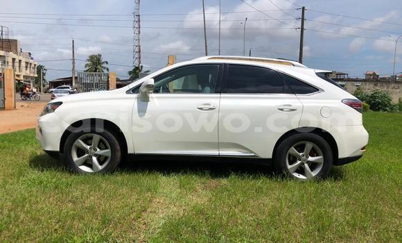 Buy New Lexus RX 350 White Car in Cotonou in Benign Buy New Lexus RX 350 White Car in Cotonou in Benign
