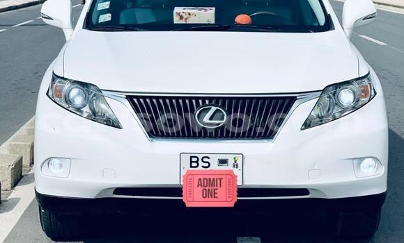 Buy New Lexus RX 350 White Car in Cotonou in Benign