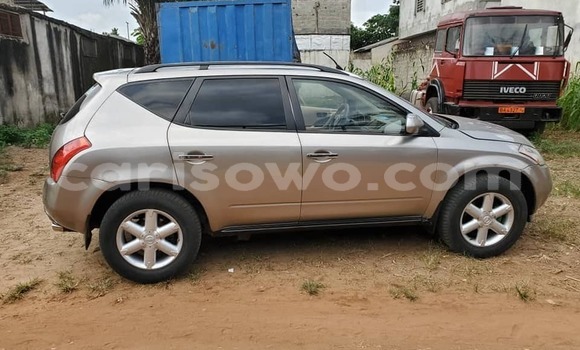 Sayi Na hannu Nissan Murano Azurfa Mota in Abomey a Benin