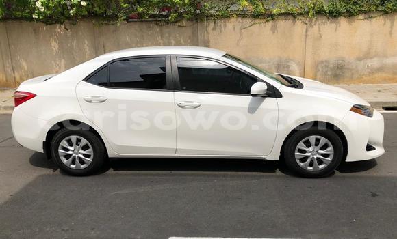 Acheter Occasion Voiture Toyota Corolla Blanc à Cotonou, Benin Acheter Occasion Voiture Toyota Corolla Blanc à Cotonou, Benin