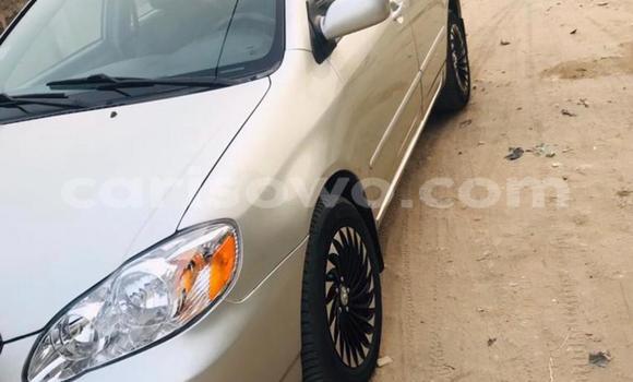 Buy New Toyota Corolla Silver Car in Cotonou in Benign Buy New Toyota Corolla Silver Car in Cotonou in Benign