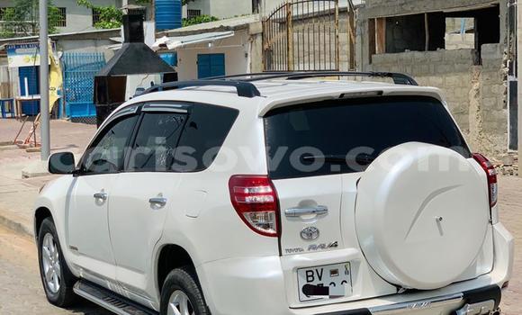 Acheter Neuf Voiture Toyota RAV4 Blanc à Cotonou, Benin Acheter Neuf Voiture Toyota RAV4 Blanc à Cotonou, Benin