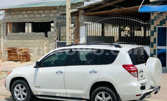 Acheter Neuf Voiture Toyota RAV4 Blanc à Cotonou, Benin Acheter Neuf Voiture Toyota RAV4 Blanc à Cotonou, Benin