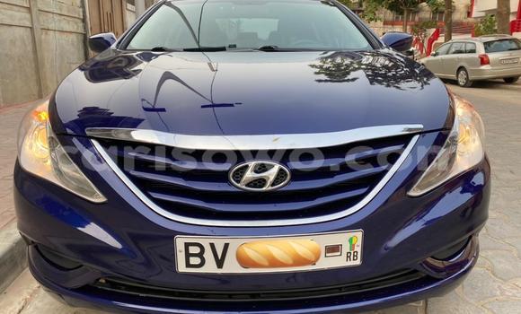 Buy New Hyundai Sonata Other Car in Cotonou in Benign Buy New Hyundai Sonata Other Car in Cotonou in Benign