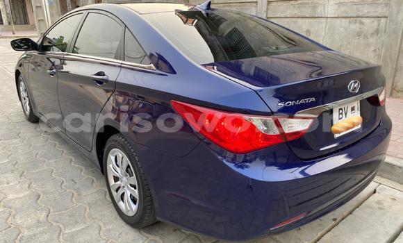 Buy New Hyundai Sonata Other Car in Cotonou in Benign Buy New Hyundai Sonata Other Car in Cotonou in Benign