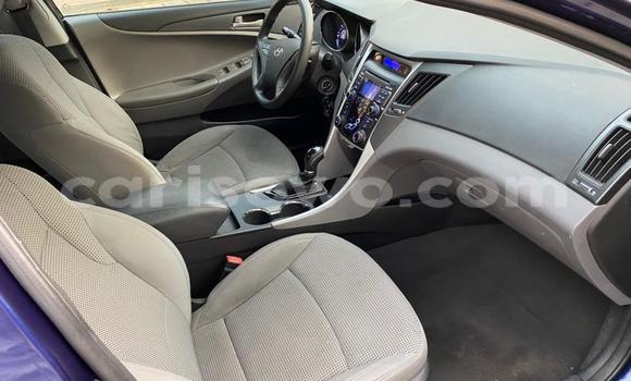 Buy New Hyundai Sonata Other Car in Cotonou in Benign Buy New Hyundai Sonata Other Car in Cotonou in Benign