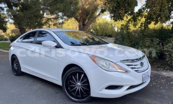 Acheter Import Voiture Hyundai Sonata Blanc à Cotonou, Benin Acheter Import Voiture Hyundai Sonata Blanc à Cotonou, Benin
