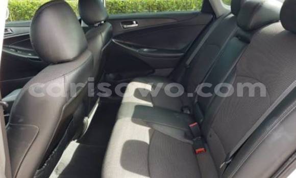 Acheter Import Voiture Hyundai Sonata Blanc à Cotonou, Benin Acheter Import Voiture Hyundai Sonata Blanc à Cotonou, Benin