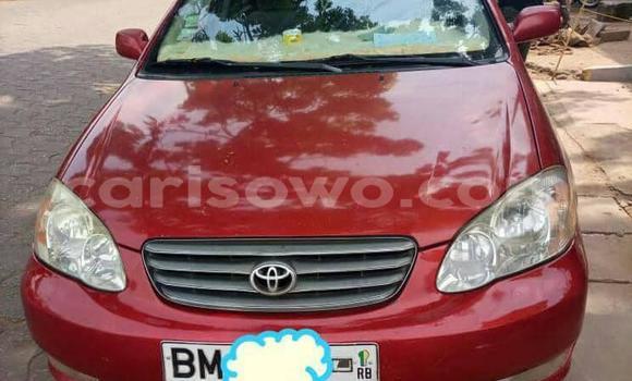 Acheter Occasion Voiture Toyota Corolla Rouge à Abomey, Benin Acheter Occasion Voiture Toyota Corolla Rouge à Abomey, Benin