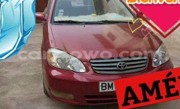 Acheter Occasion Voiture Toyota Corolla Rouge à Abomey, Benin Acheter Occasion Voiture Toyota Corolla Rouge à Abomey, Benin