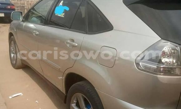Acheter Occasion Voiture Lexus RX 330 Gris à Abomey, Benin